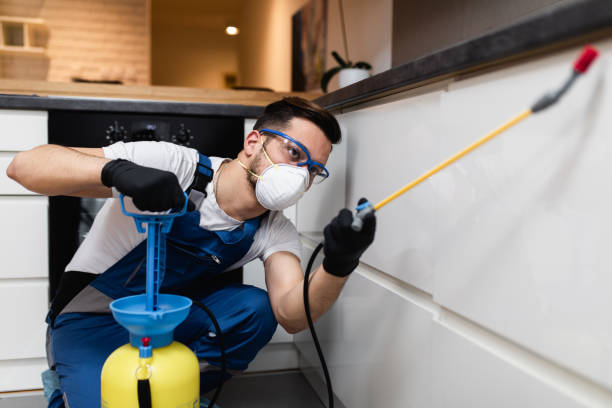 Best Local Pest Control Services  in Gold Hill, OR