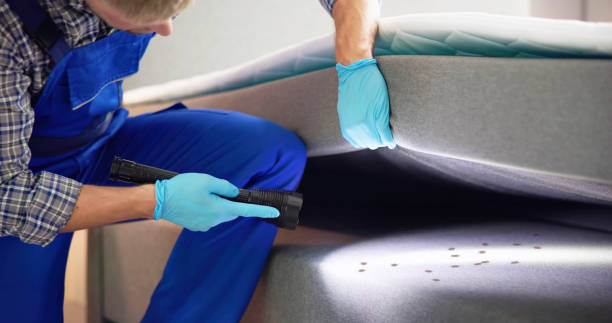 Best Cockroach Control Services  in Gold Hill, OR