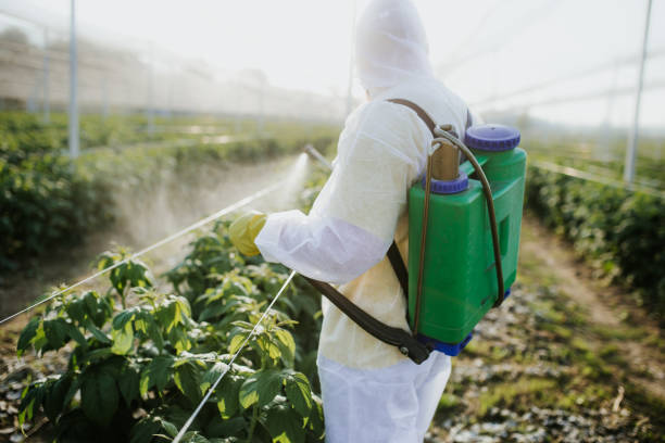 Best Bed Bug Extermination  in Gold Hill, OR